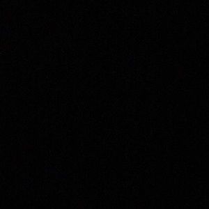 Meet your Posher, Max